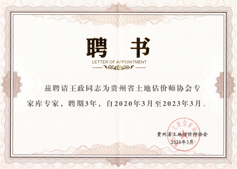 王政 贵州土估协专家