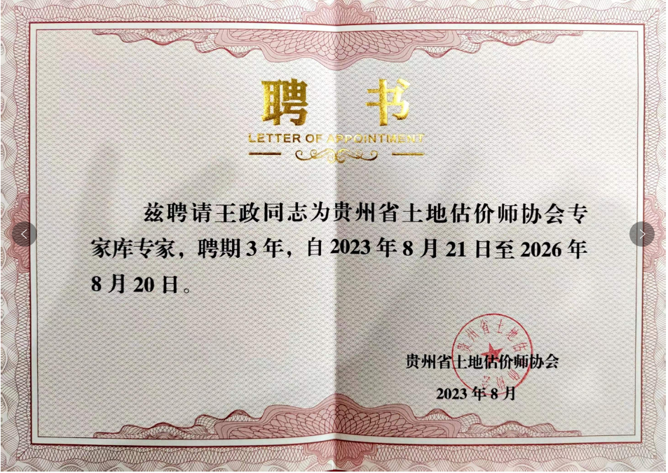 王政 评估专家