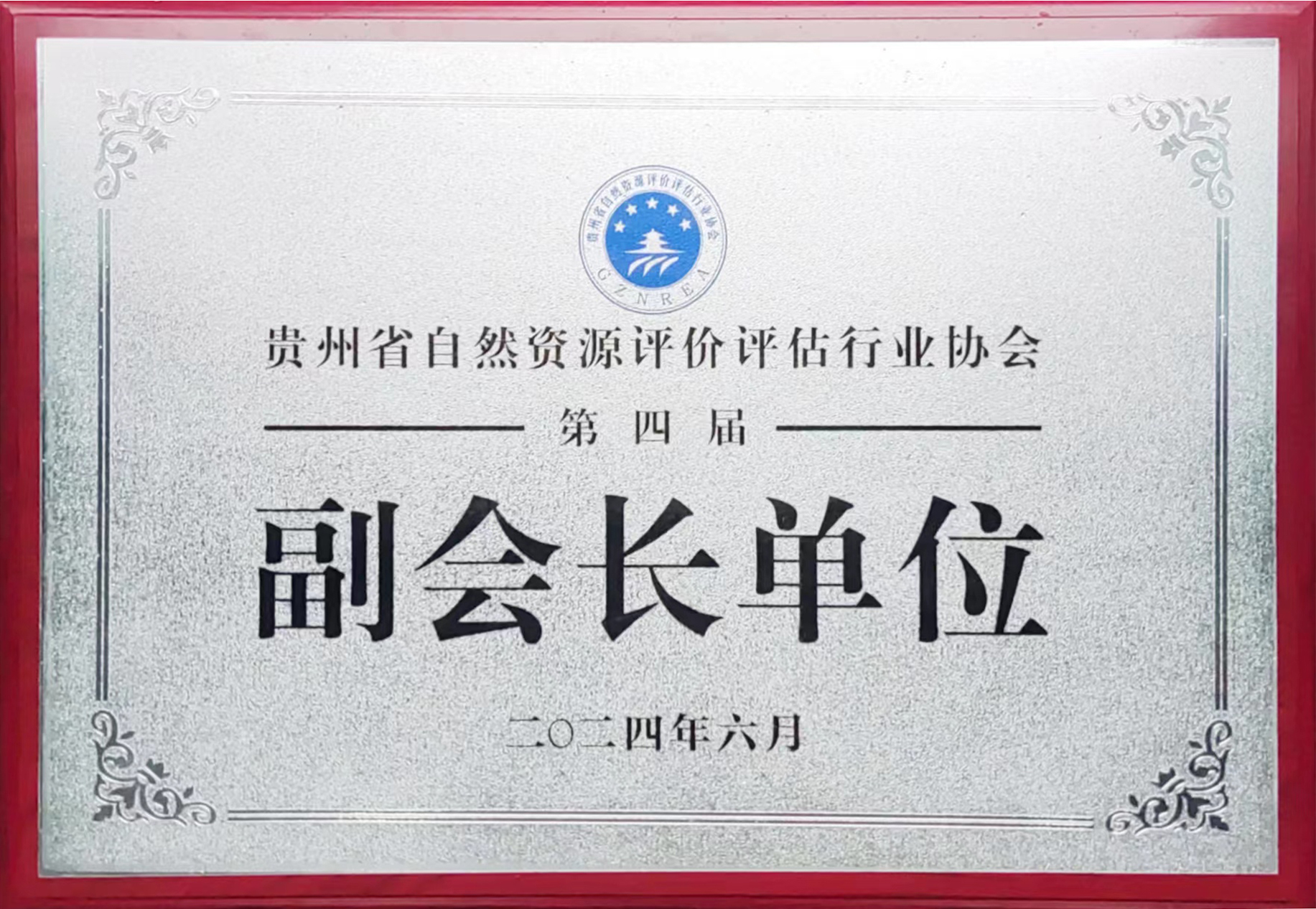2024副会长单位